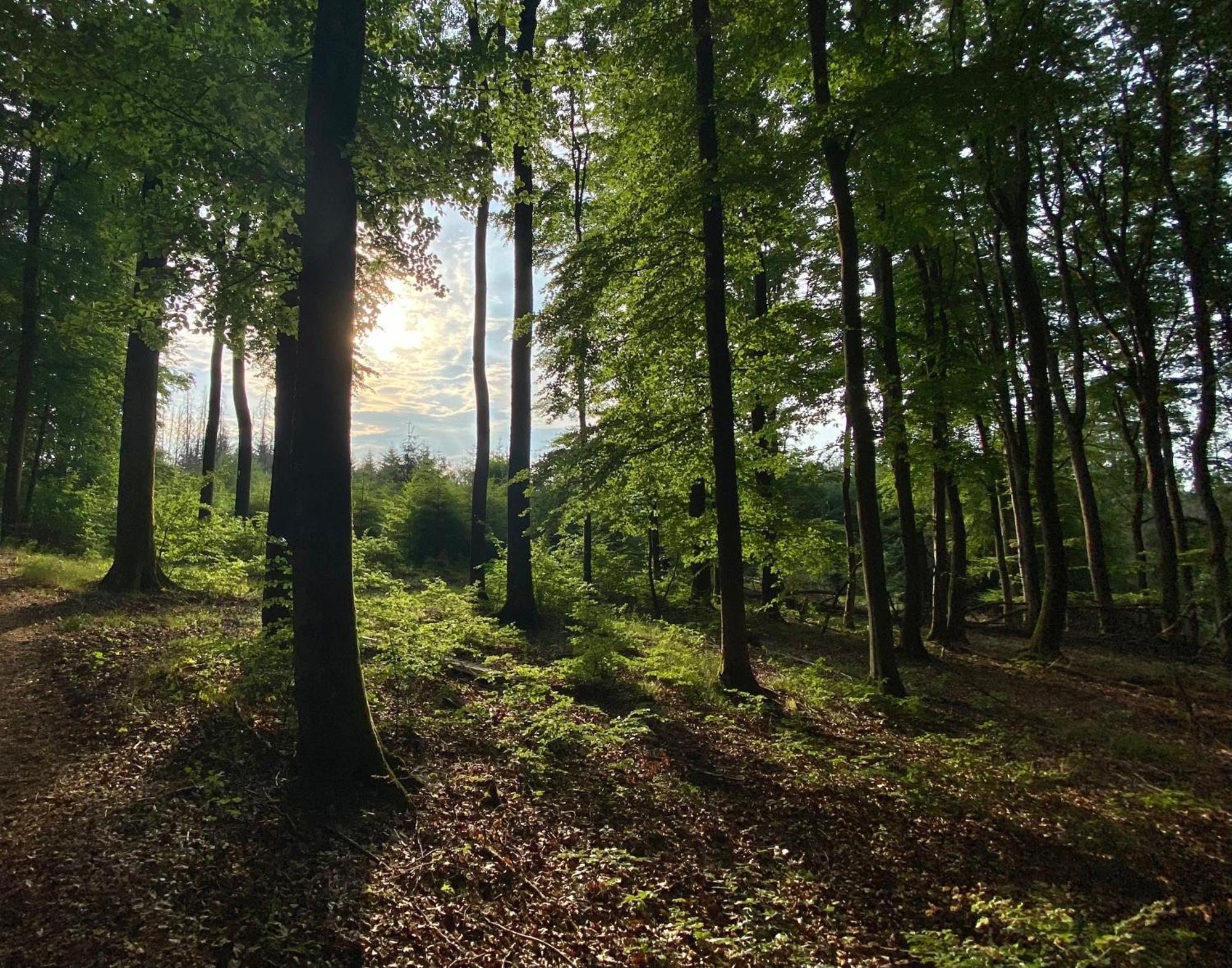 Fruehstueckspension Zur Krone Bad Endbach エクステリア 写真